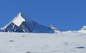 Art Apart Nomay Summercard Blick Top Of Salzburg